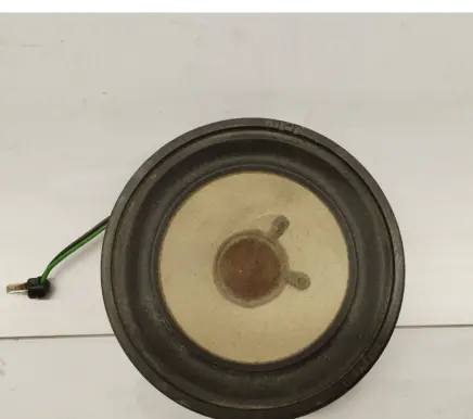 Panel speaker
