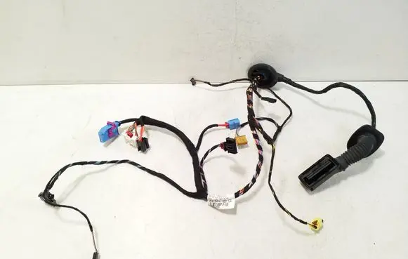 Front door wiring loom