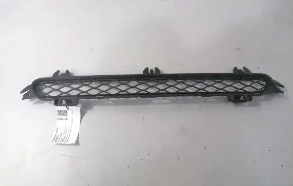 BMW X3 F25 Front grill 7210466