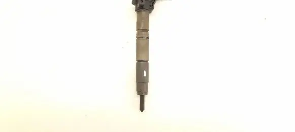 Mercedes-Benz R W251 Fuel injector 6420700587 6420701987