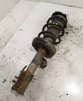 Fiat Doblo Front shock absorber with coil spring 51880839