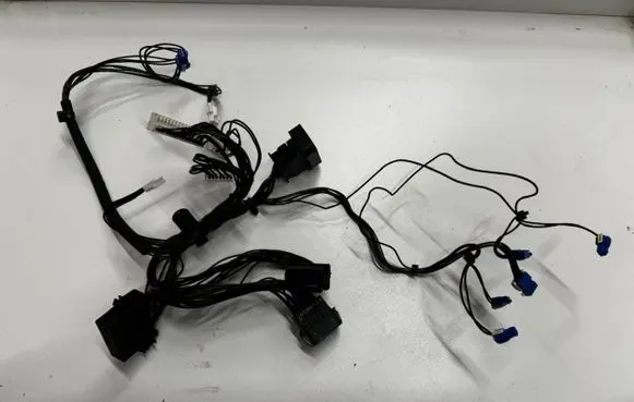 BMW 6 F12 F13 Headlight/headlamp wiring loom/harness 6925629 114523371
