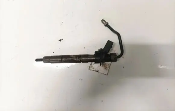 Mercedes-Benz R W251 Fuel injector 0445115
