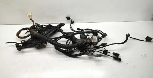 Engine installation wiring loom