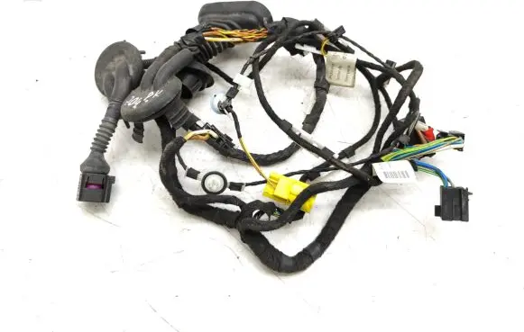 Front door wiring loom