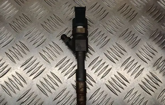 Suzuki Grand Vitara II Fuel injector 8200389369 0445110230