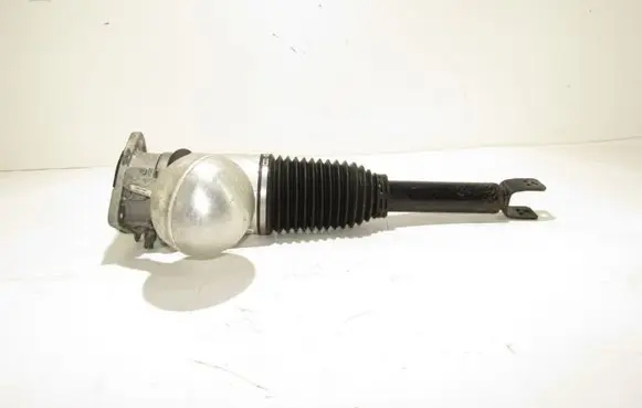 Volkswagen Phaeton Rear shock absorber/damper 3D0616002K