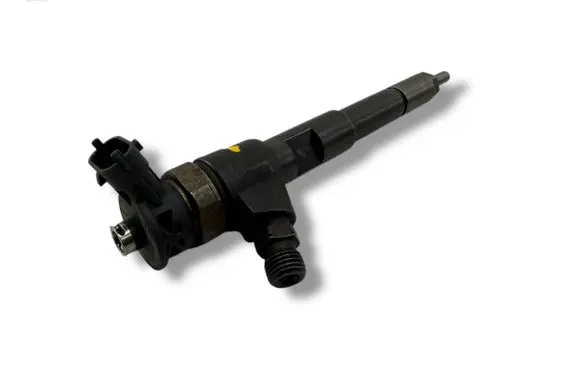 Renault Kangoo II Fuel injector 8201108033