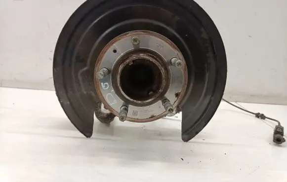 Opel Insignia B Rear wheel hub 13507017