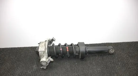 Porsche Cayenne (92A) Rear shock absorber/damper 7P0512345