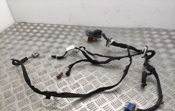 Peugeot 3008 I Front door wiring loom 9672304380