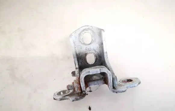 Renault Laguna III Rear door lower hinge