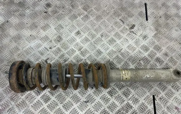 BMW 5 E39 Rear shock absorber/damper 1039133056
