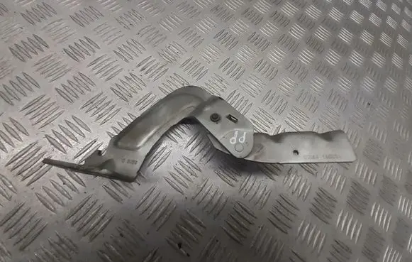 Renault Kangoo I Front door hinges set 