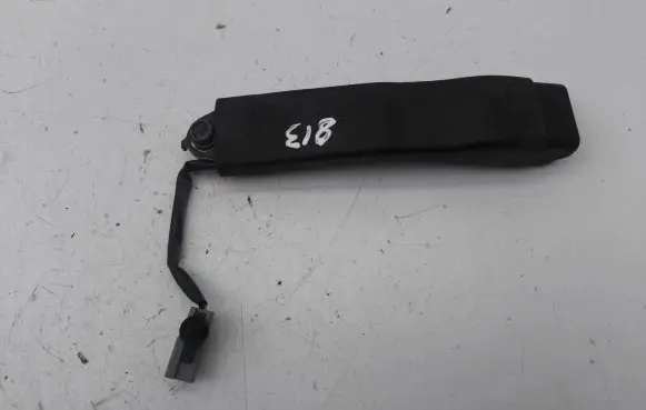 Tesla Model S Front seatbelt buckle 2460917