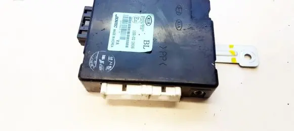 KIA Sorento Door control unit/module 954003E310 95400-3E310