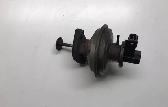 EGR valve