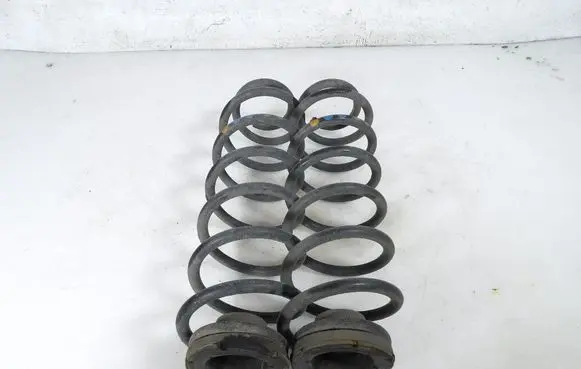 Skoda Fabia Mk3 (NJ) Rear coil spring