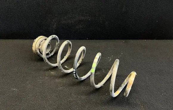 Volkswagen Golf IV Rear coil spring