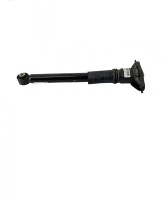 Opel Corsa F Rear shock absorber/damper 9842159980
