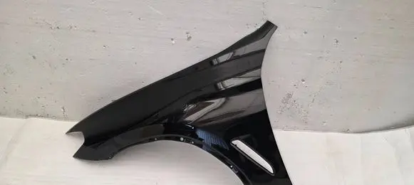 BMW X3 G01 Fender 7491383