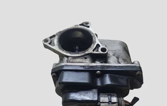 Volkswagen PASSAT B6 Throttle valve 03L131501G 26301359