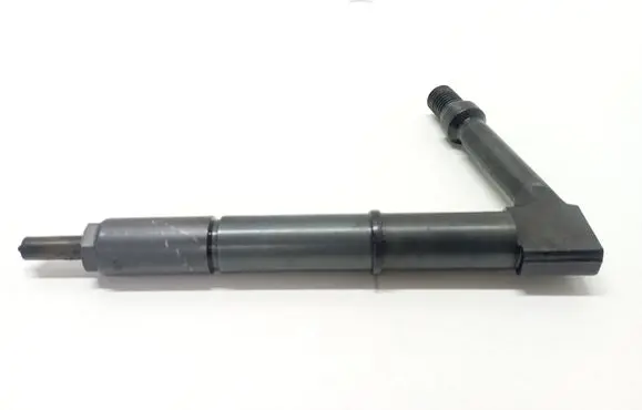 Nissan Almera Tino Fuel injector 484391