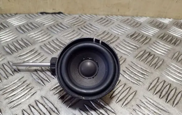 Panel speaker