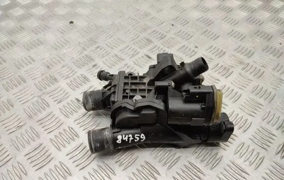 Thermostat/thermostat housing