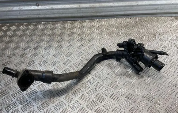Thermostat/thermostat housing