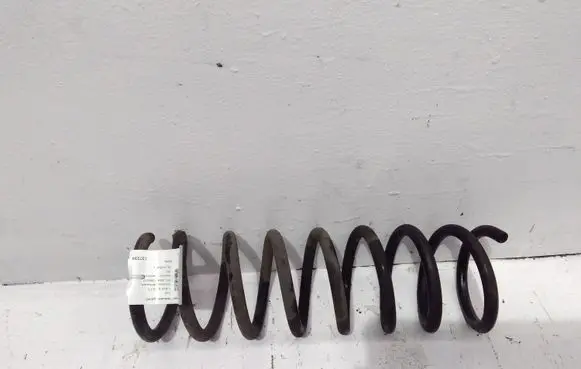 Ford C-MAX II Rear coil spring