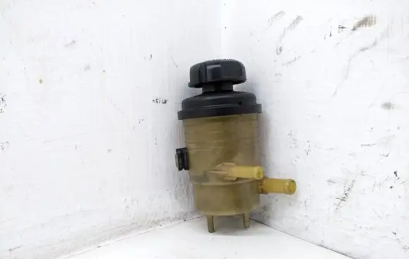 Hyundai Santa Fe Power steering fluid tank/reservoir