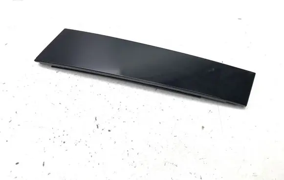 Rear door trim (molding)
