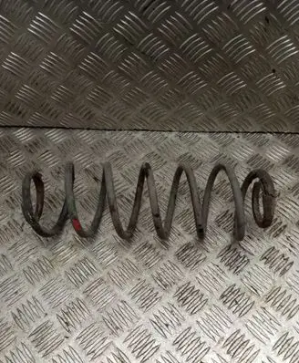 Rear coil spring