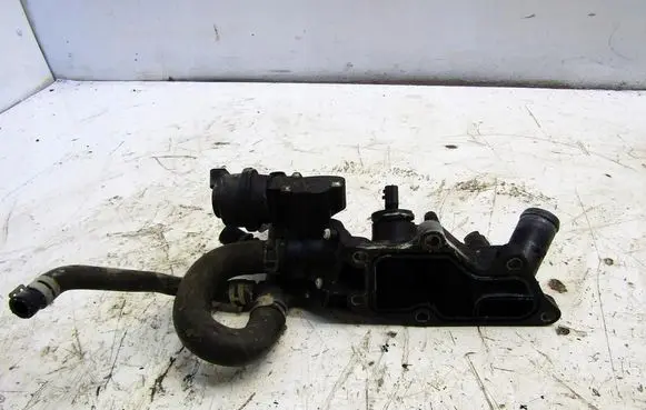 Nissan Qashqai Thermostat housing 110600353R