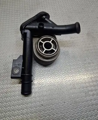 Renault Kangoo II Engine coolant pipe/hose 8200552604 044653