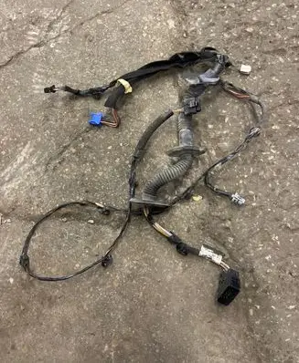 Front door wiring loom