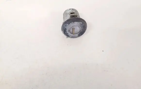 Pontiac Trans Sport Front door lock (next to the handle) 