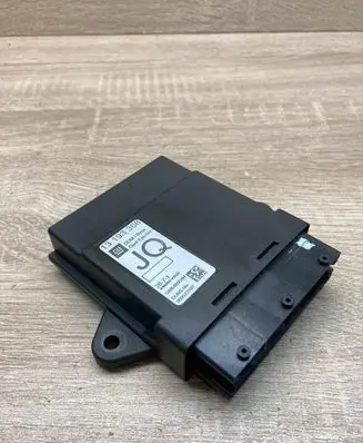 Opel Vectra C Other control units/modules 13193368 5WK46001H