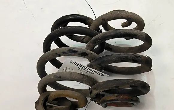 Rear coil spring