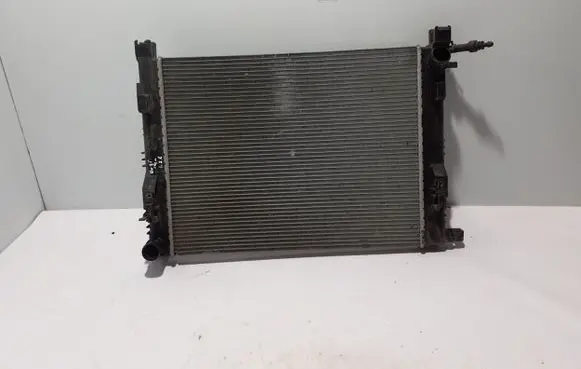 Dacia Duster Coolant radiator 214100078R