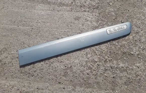 Renault Espace - Grand espace IV Front door trim (molding) 8200095949