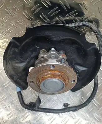 Peugeot 208 Rear wheel hub 9825073280