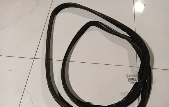 Renault Scenic II - Grand scenic II Rubber seal front coupe door 