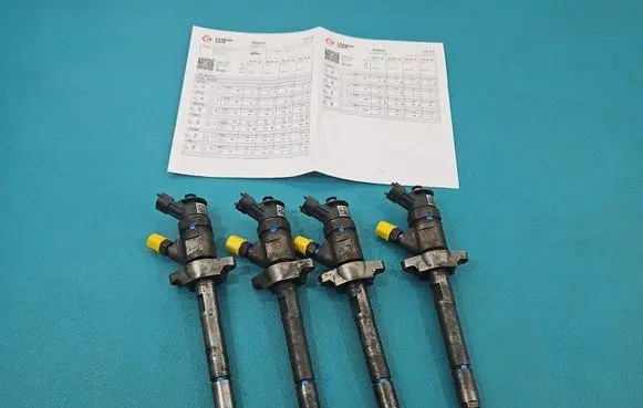 Peugeot Partner Fuel injectors set 0445110311 IMPRK1546172