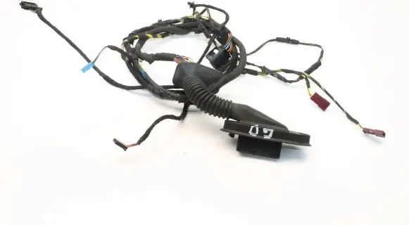 Mini Cooper Countryman R60 Other wiring loom 9811219