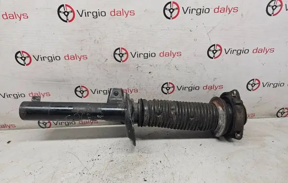 Volkswagen Golf V Front shock absorber/damper 1k0412103b