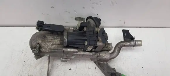 EGR valve