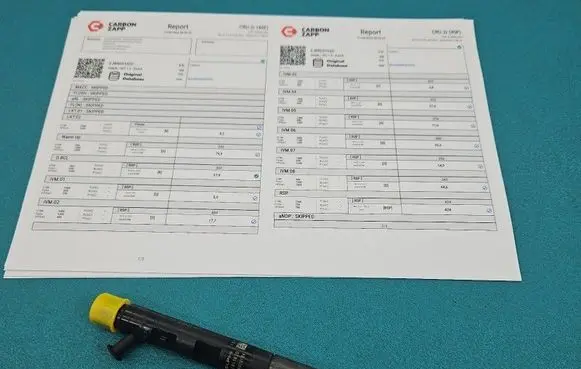 Renault Megane III Fuel injector EJBR05102D IMPRK1558641