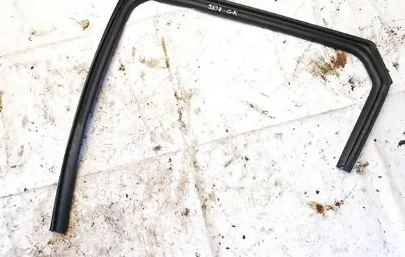 KIA EV6 Rubber seal rear door 